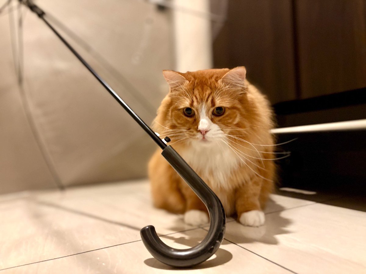 公式】株式会社TKS🚿 (@TKS_Corporate) / Posts / X