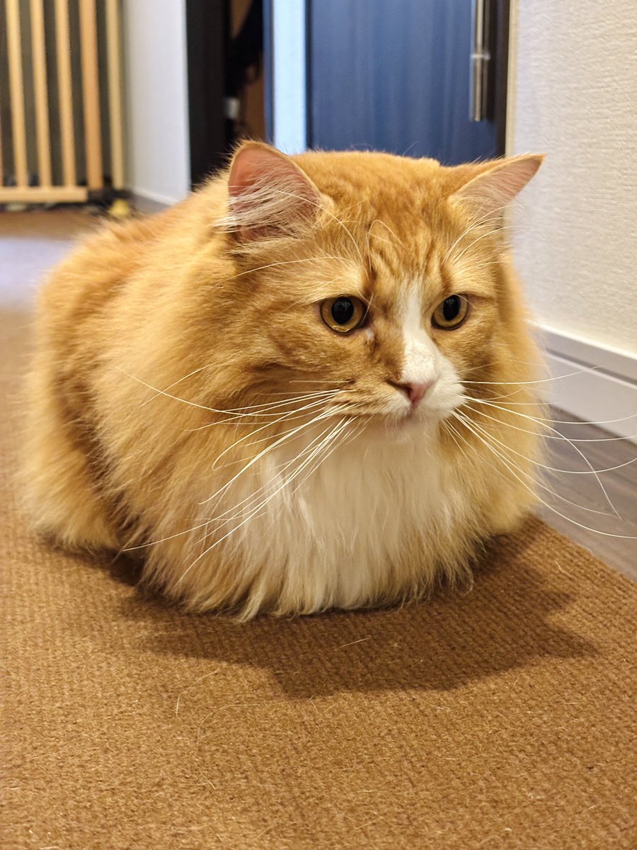 公式】株式会社TKS🚿 (@TKS_Corporate) / Posts / X