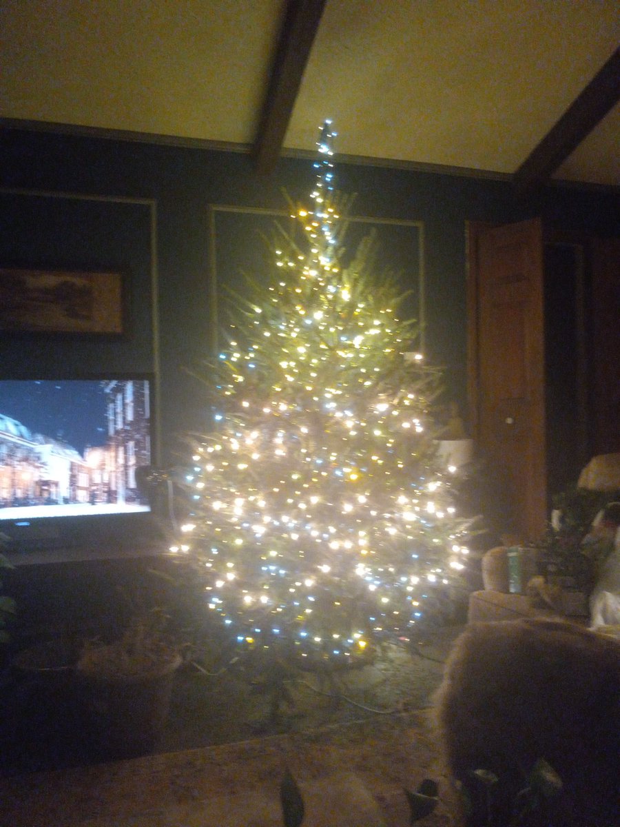 She's wondering if she needs to add more lights before "decorating the tree".  We're only at 60MW now, so why not?  

(This is only the family tree.  The front window tree is next)