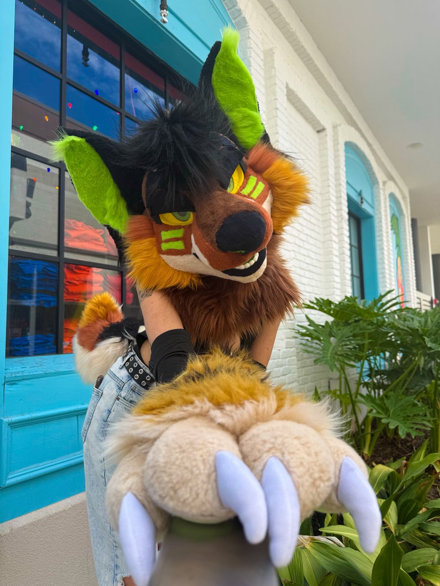 💨BONGGDAWGG💨🔜LVFC tweet media