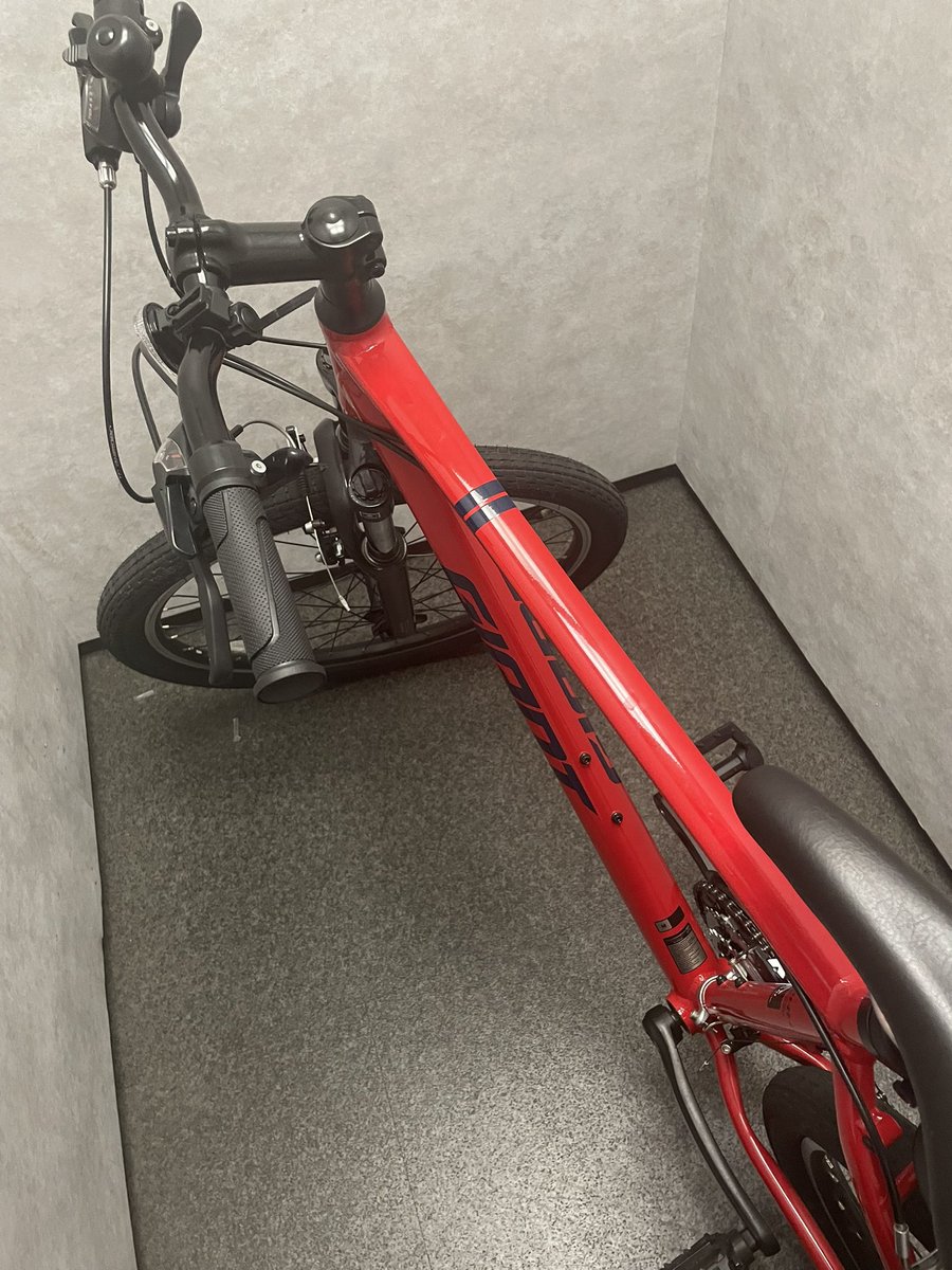 レモン (@remon1601492809) / Posts / X