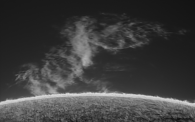 本日の太陽です。　
2週間観測ができませんでした。
南東に出現してるおおきなプロミネンスです。

200mmF12 x2.5, Daystar QuantumSE 0.28Å, ASI-174MM, Pentax MS-5 NS5000
2025.12.11 01.07UT (10.07 JST)