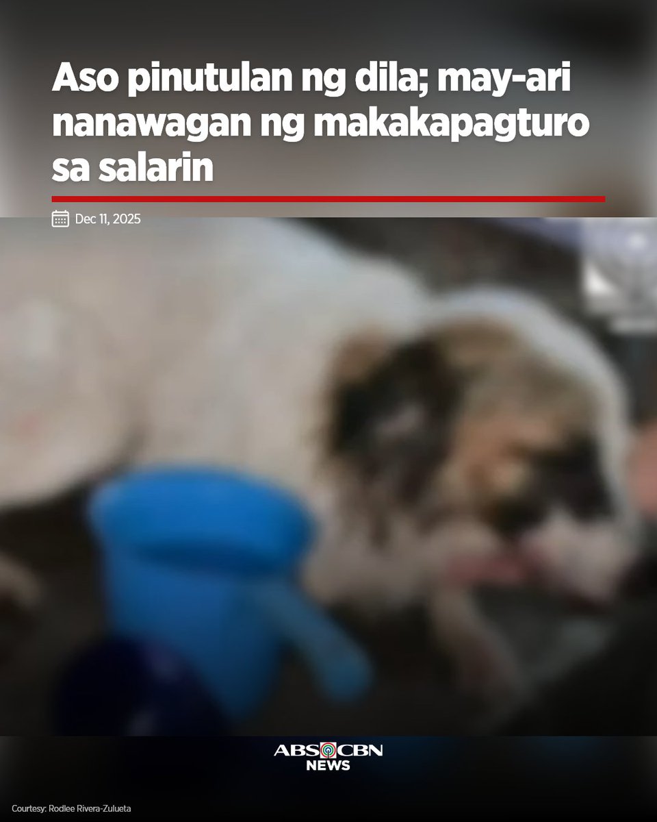 ABS-CBN News tweet media