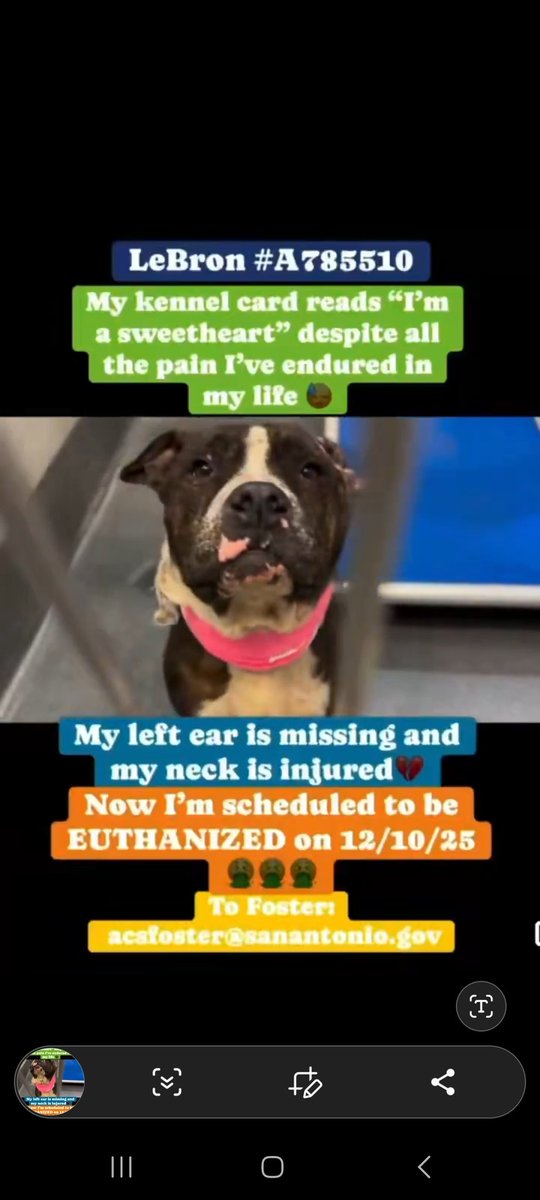 Lebron is a brave boy ! Good force save this guy !
x.com/i/status/19988…