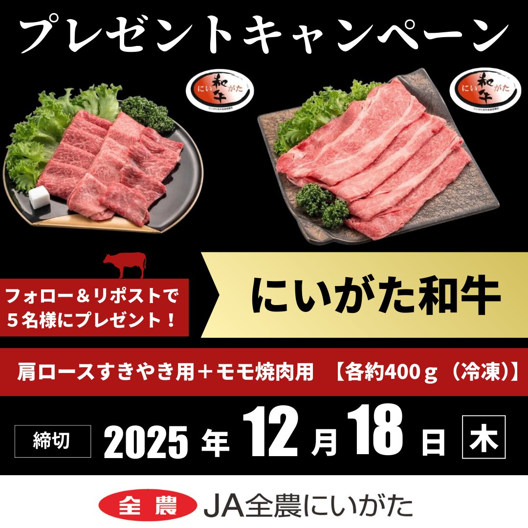 ❁yoyomama❁即購入⭕フォロー割⭕ 🌻しまママ🌻 (@shimamama_65) / Posts / X