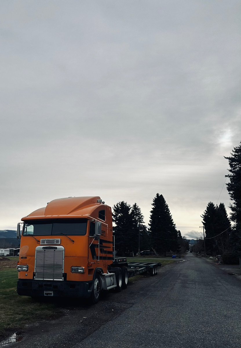 Chasingmytail's tweet image. 