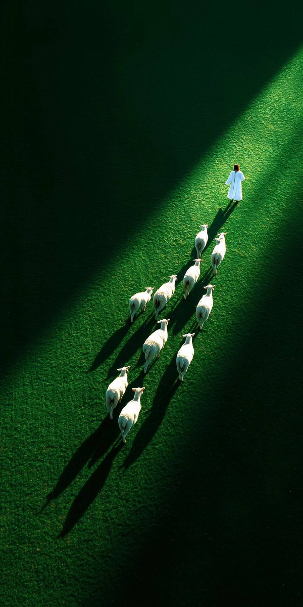 I don't know about you but everyday I wake up is a win for me.

Good morning fam🫂❤️