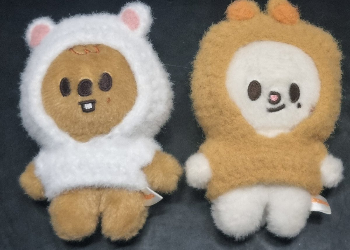 가죽 바꿔 입히기