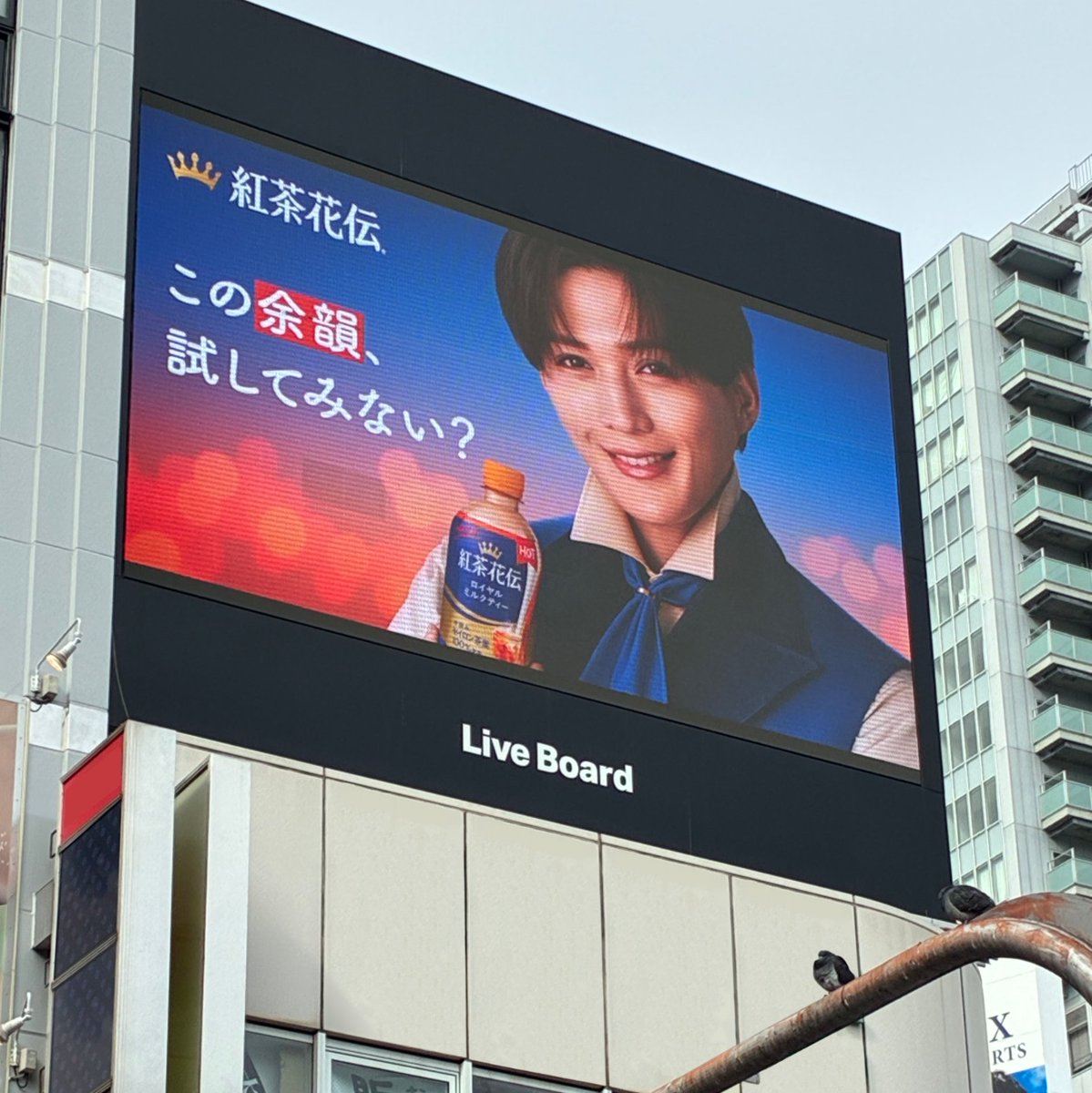紅茶花伝の妖精さんに出会った方は幸運です☕

掲載終了間近の寒い日に現れる屋外広告

見つけたよ！という方は
ぜひ「🧚‍♂️ 」で教えてくださいね♪

<a href="/fantastics_fext/">FANTASTICS from EXILE TRIBE</a>
#紅茶花伝
#寒い日には紅茶花伝
#冬をちょっと好きになる

※混乱を避けるため、掲載場所や日程について詳細なお知らせはできません🙇🏻