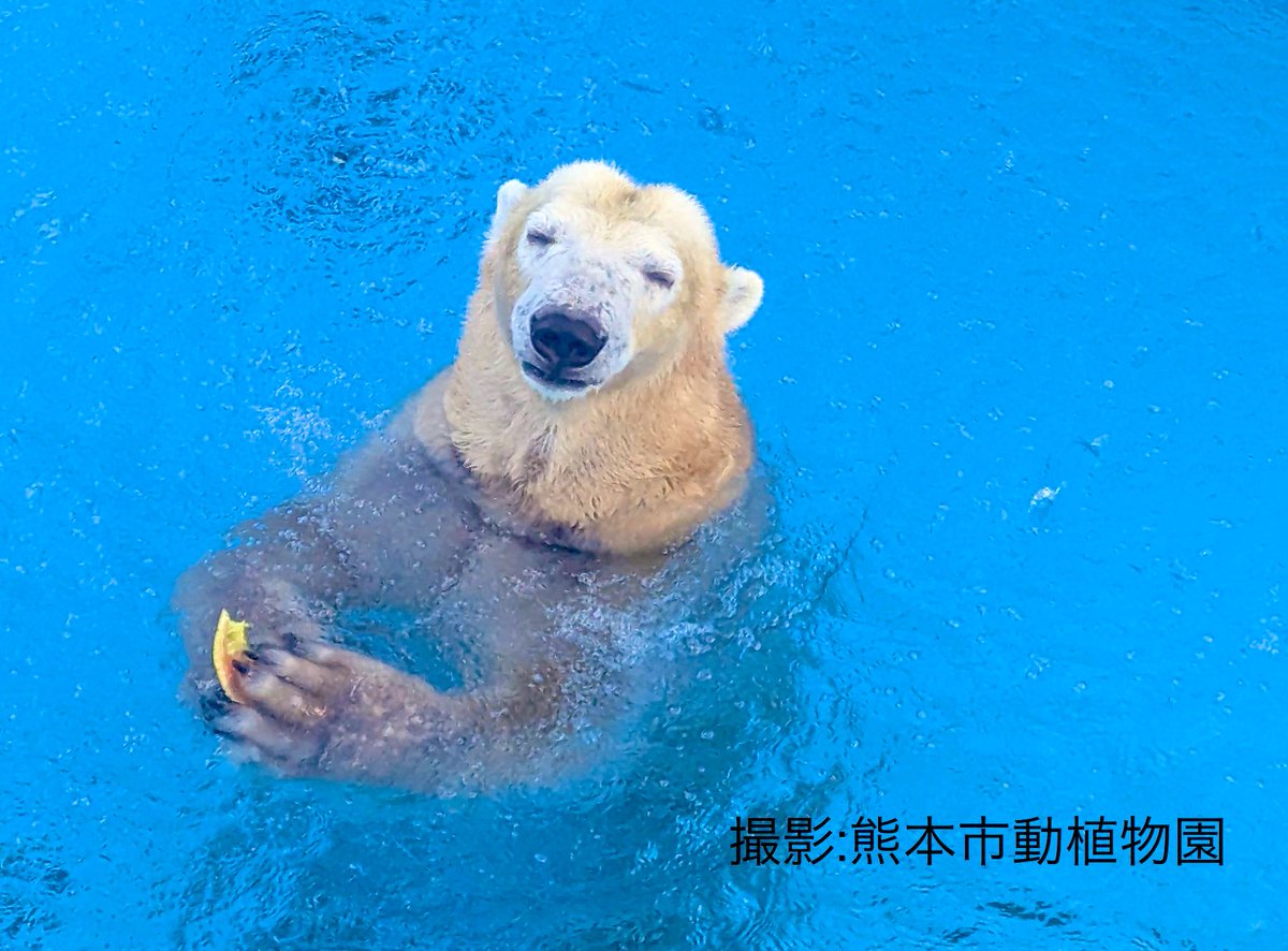 七絵♡ʕ•ᴥ•ʔ🐼 (@a9AUyw0nUeEqz8h) / Posts / X