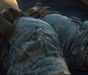 thank you for your service sir