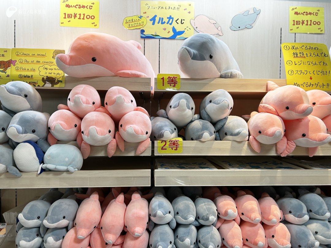 開催中！/ はずれなし🎯ぬいぐるみくじ 大人気のぬいぐるみくじは 現在