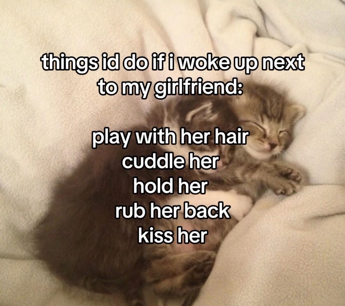 More Cats (@evenmorecats) on Twitter photo 