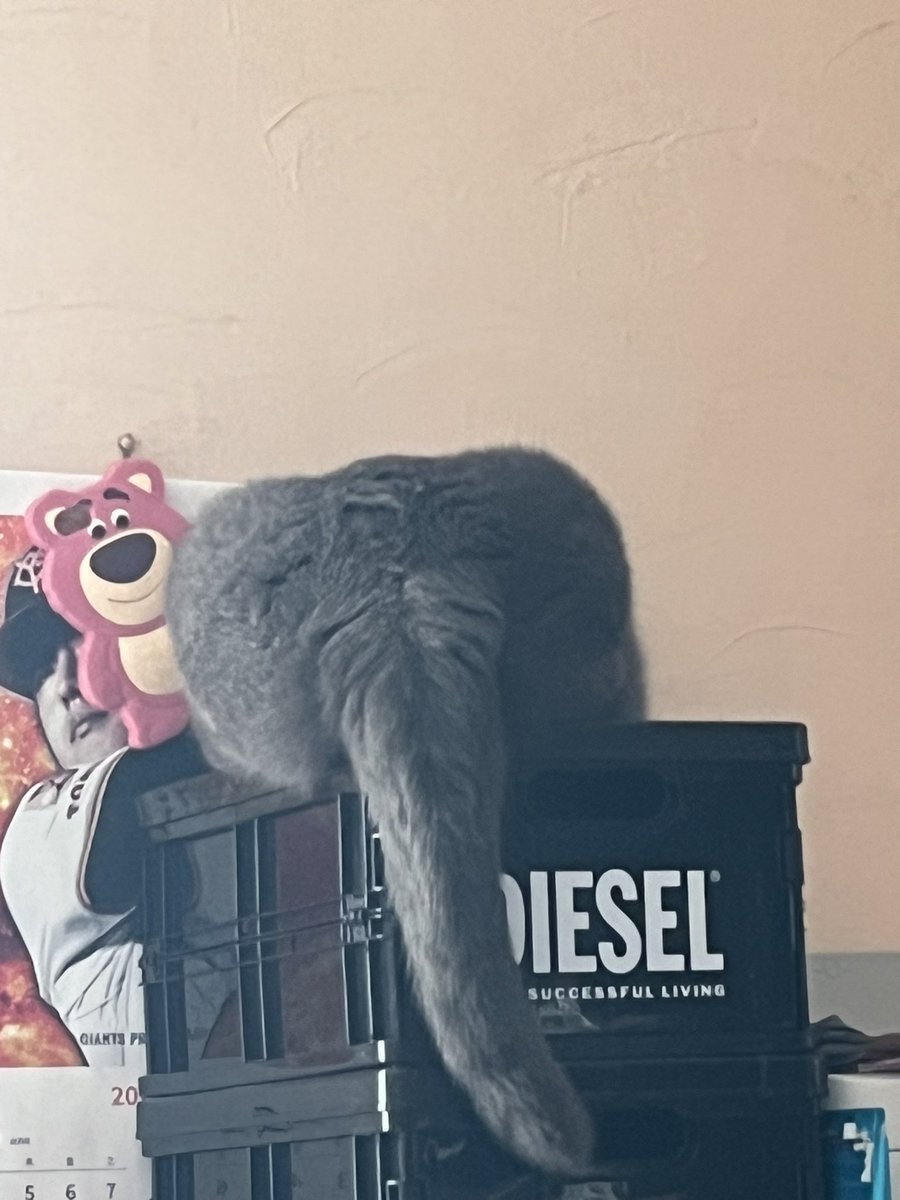 たそまる (@t1a23so) / Posts / X