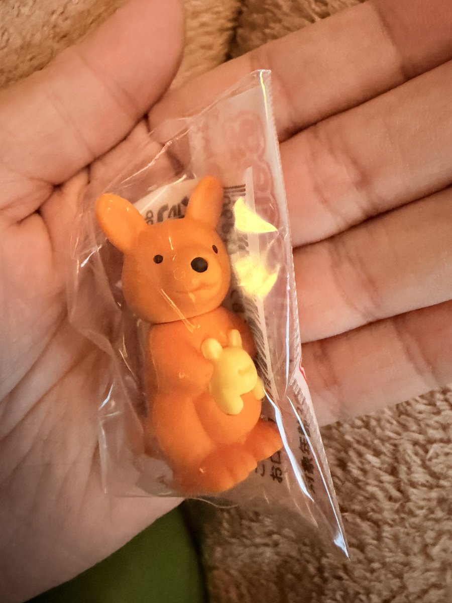 むぎむぎみつけたーーー( ˶'ᵕ'˶)♡ むぎむぎみつけたーーー( ˶'ᵕ'˶)♡