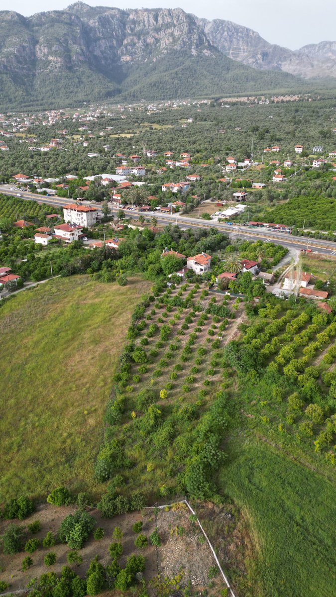 Şöyle bir manzara 💚 Aslında çok bilindik bir yer 👌🏻 #zeytinalanı  #köyceğiz  #günaydın
