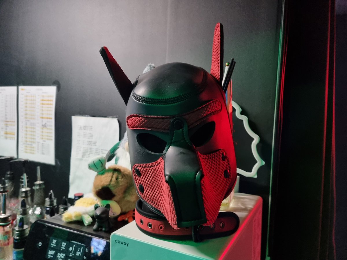 Had a great time visiting a pup bar. I had no idea these existed. Great staff, nice customers, oversized drinks, popcorn in pet bowls for the pets. If this is your scene, I recommend you visit <a href="/UNDERBAR_KOR/">UNDERBAR</a>