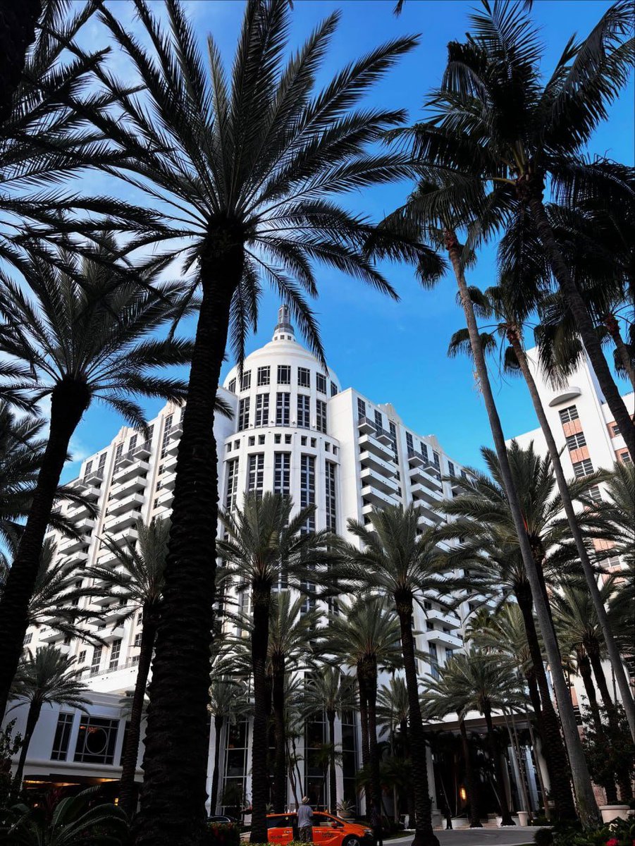 _artharbor's tweet image. Loving my life here in this city🌴💙 Everything just feels so lively and bright. This place really has its own vibe and I’m glad I get to enjoy it. ☀️✨