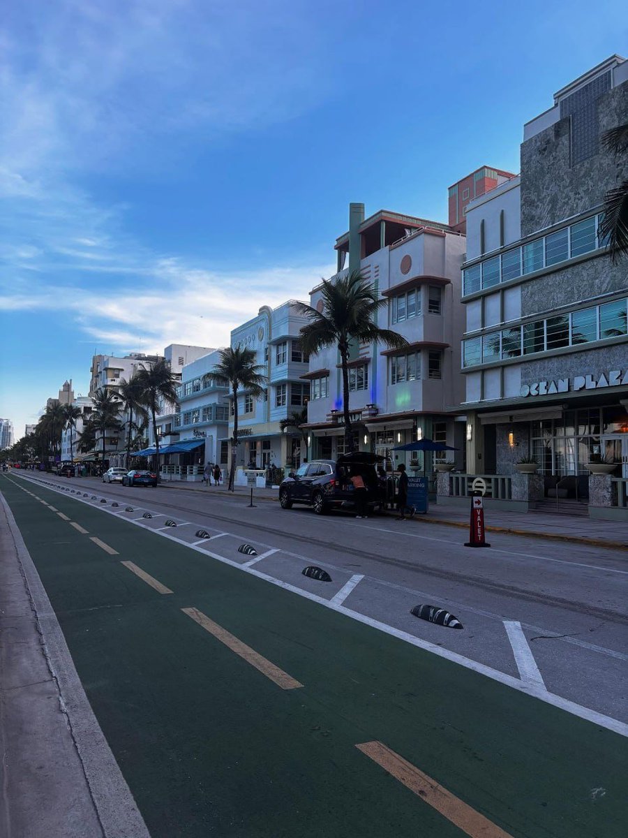 _artharbor's tweet image. Loving my life here in this city🌴💙 Everything just feels so lively and bright. This place really has its own vibe and I’m glad I get to enjoy it. ☀️✨