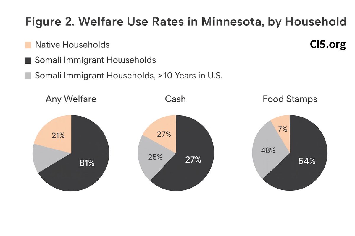 hodgetwins's tweet image. This is Democrats idea of making America great again. Import the third world so they can vote Democrat and use American taxpayers to subsidize it….
