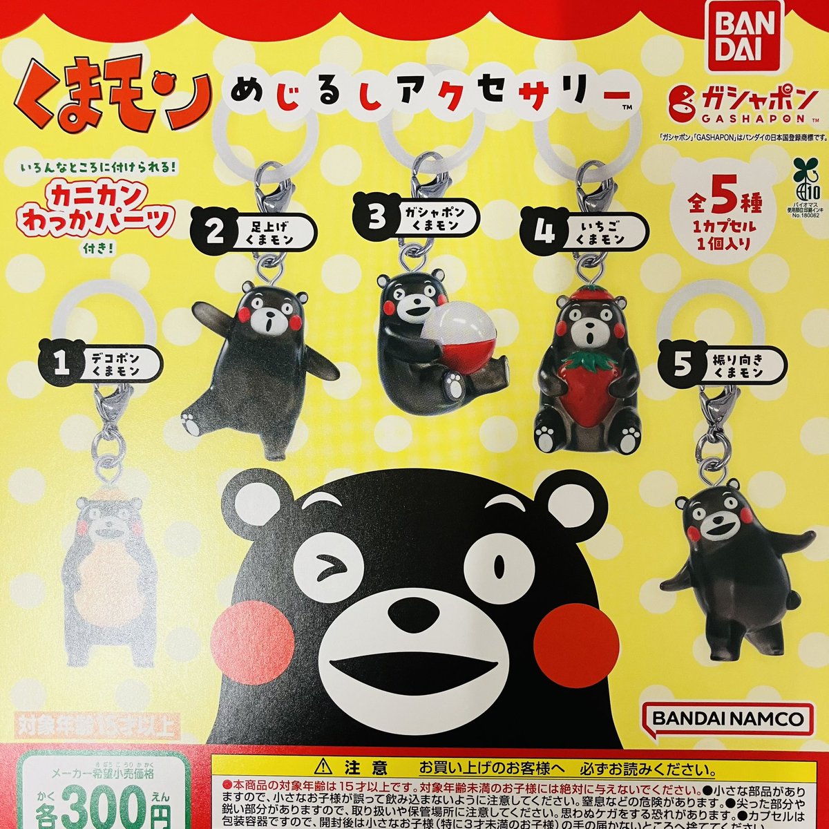 ﾜｸﾜｸ🤗 🌟✨入荷情報✨🌟 ＼ 「くまモン めじるしアクセサリー」 新