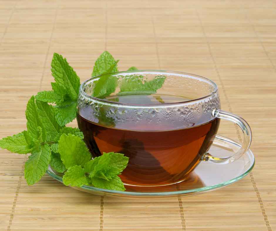 maksud28's tweet photo. 🌿 Want a natural way to support digestion, freshen your breath, or unwind after a long day? Check out the benefits of peppermint tea 🍵

Read more: https://t.co/GYZzVStiEt

#PeppermintTea #HerbalTea #HealthyLiving #GutHealth #Wellness https://t.co/sxUUjjRUZv