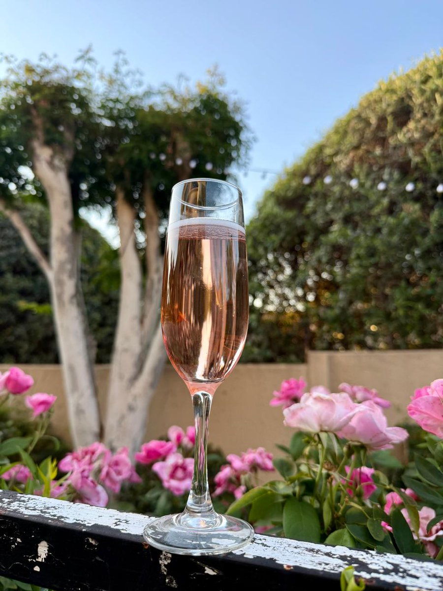 Cheers to 2026! 🥂   

The past year brought hard work, many challenges, and plenty of opportunities. Now it’s time to route toward new milestones.  

Here’s to a new year of stronger interconnections, meaningful collaborations, and shared success across our #PeeringCommunity!