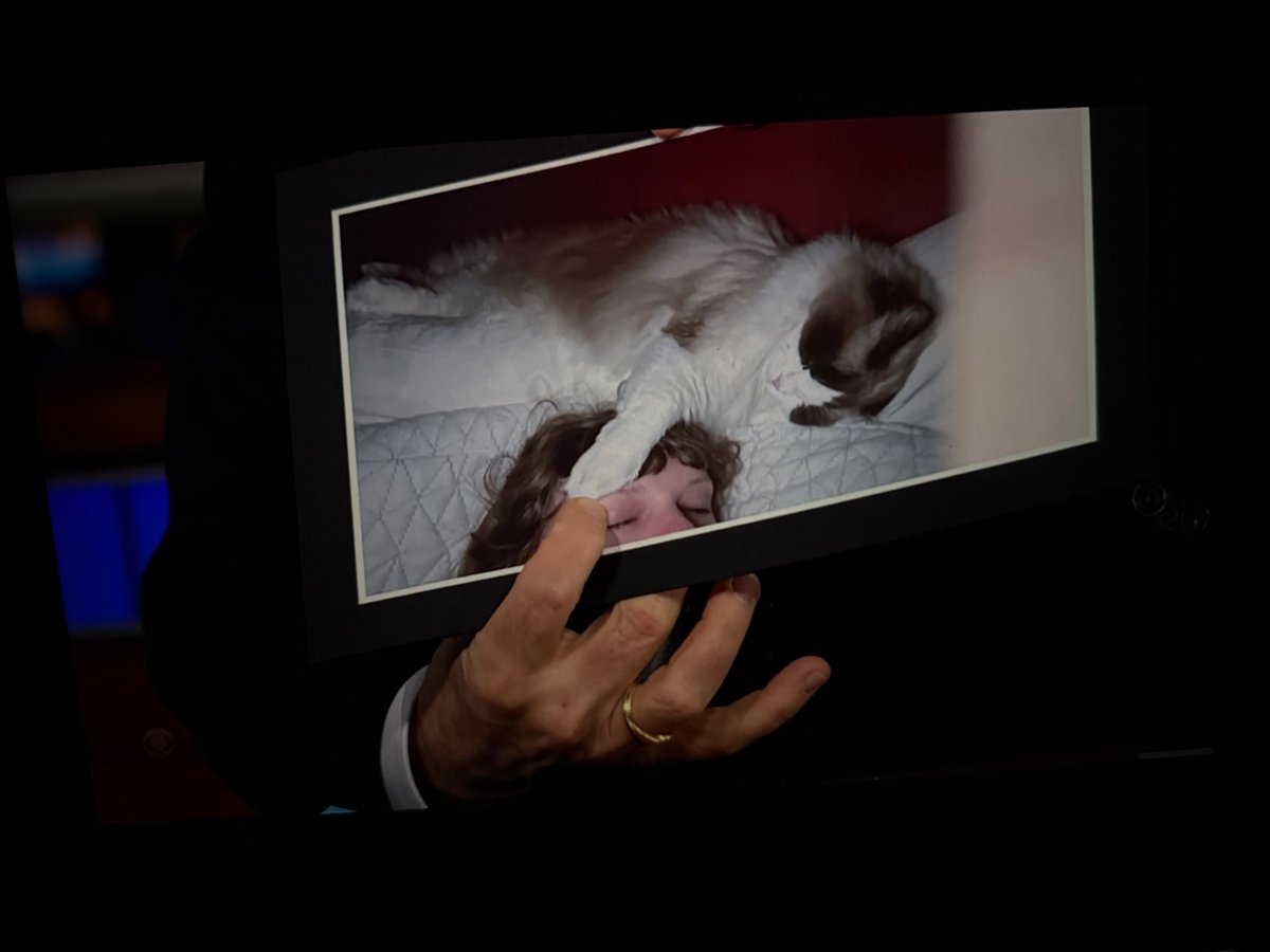 picturetokurn's tweet image. BENJI ON HER HEAD HAHAHAH #Colbert