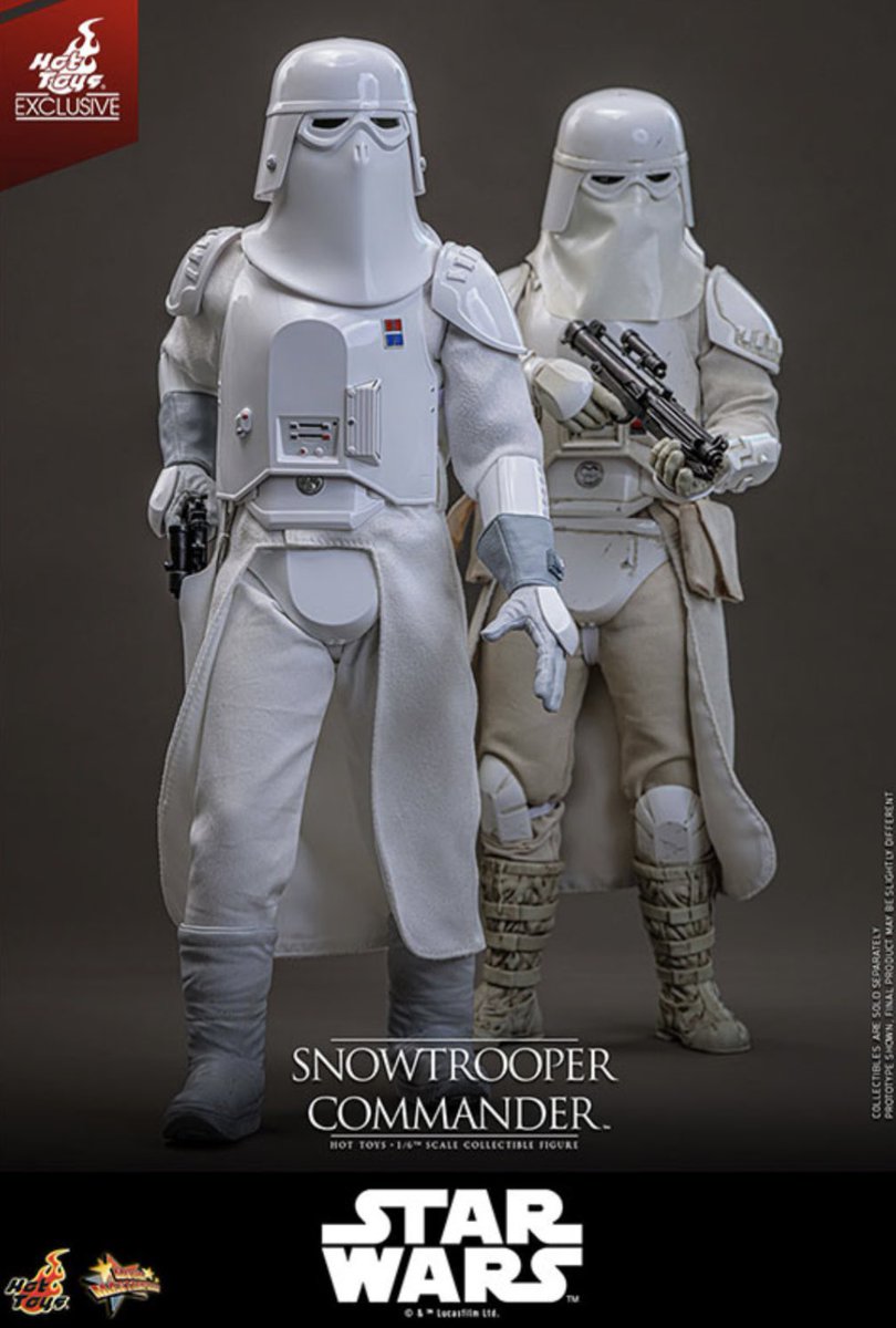 皆さま こんにちは😃 今日は少し暖かいでしょうか☺️ 歩くと汗ばみ