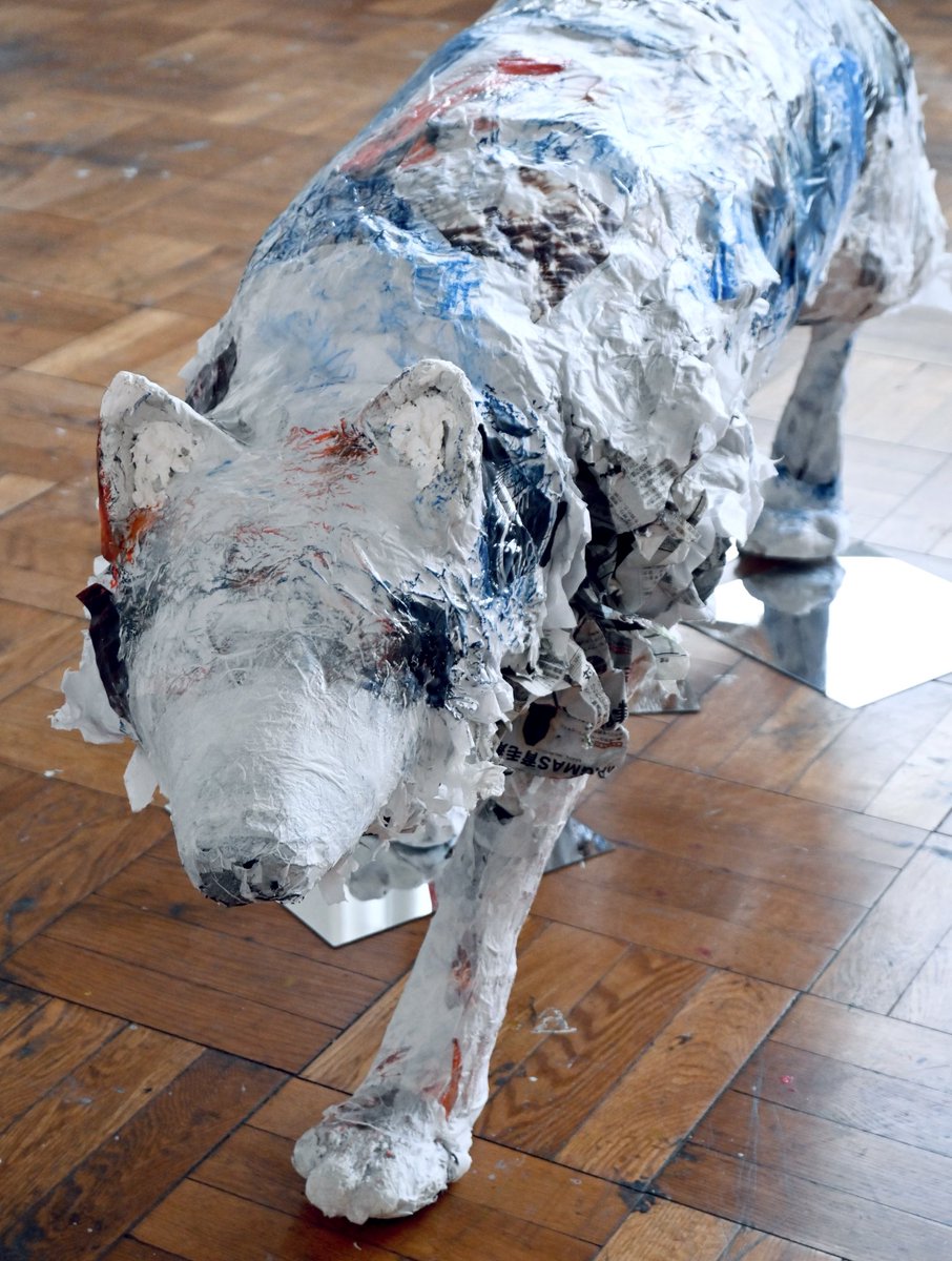 そ鯖/ナカダヒビキ tweet media