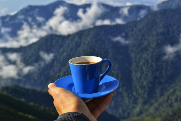0xDOD0's tweet photo. Good morning CT ☕️

@AlignerZ_Labs is growing so fast! I'm enjoying posting about gAlignerz 💙 I love their TVS system 🚀 https://t.co/POujzvXTZO