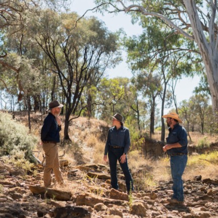 Introducing our newest reserve – Avocet Nature Refuge 🌳🎉1,207 hectares of incredible nature in central Queensland are now permanently protected under Bush Heritage’s national reserve system.  

Thank you to all of our supporters, for helping make the purchase of Avocet Nature