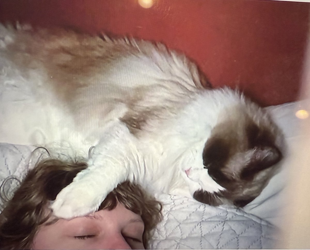 📸| NEW picture of Taylor Swift &amp; her youngest cat Benjamin Button, from last year while on “The Eras Tour”