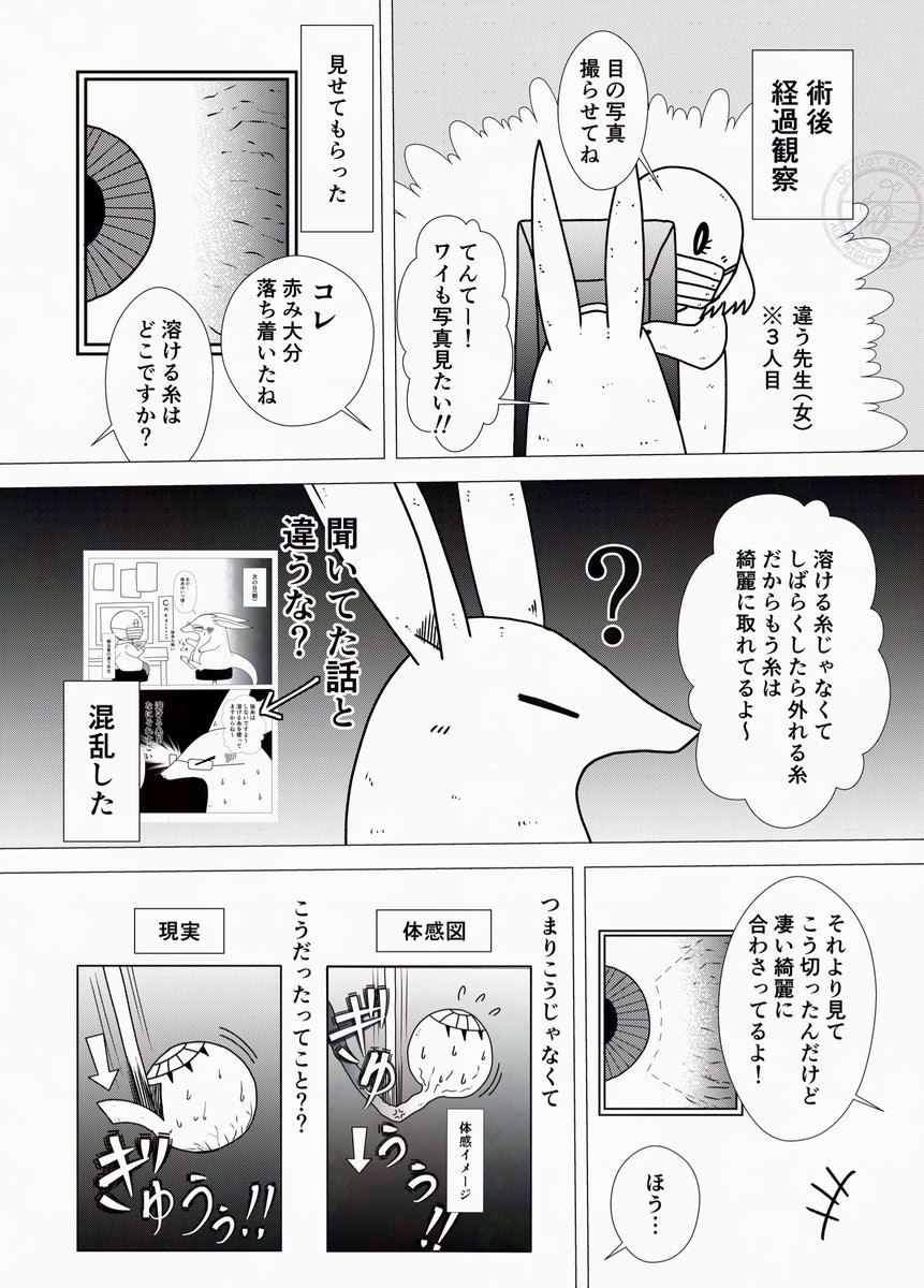 【急性内斜視で入院と手術してきた時の話③】
昨日の診察の小ネタ 