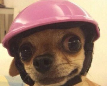 Lethab_joy 2.0 tweet media