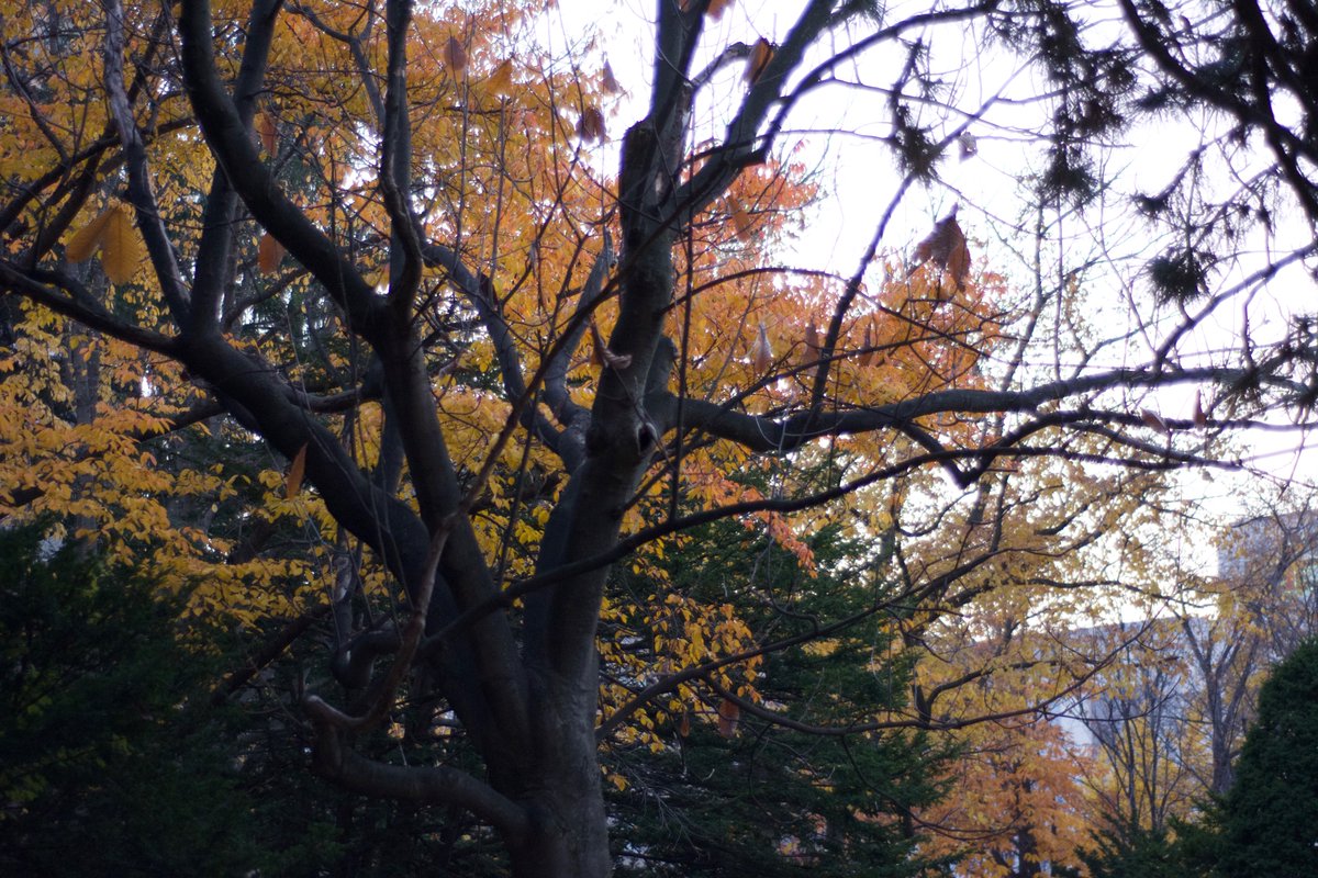 Ajay Sabs (@ajaysabs) on Twitter photo 