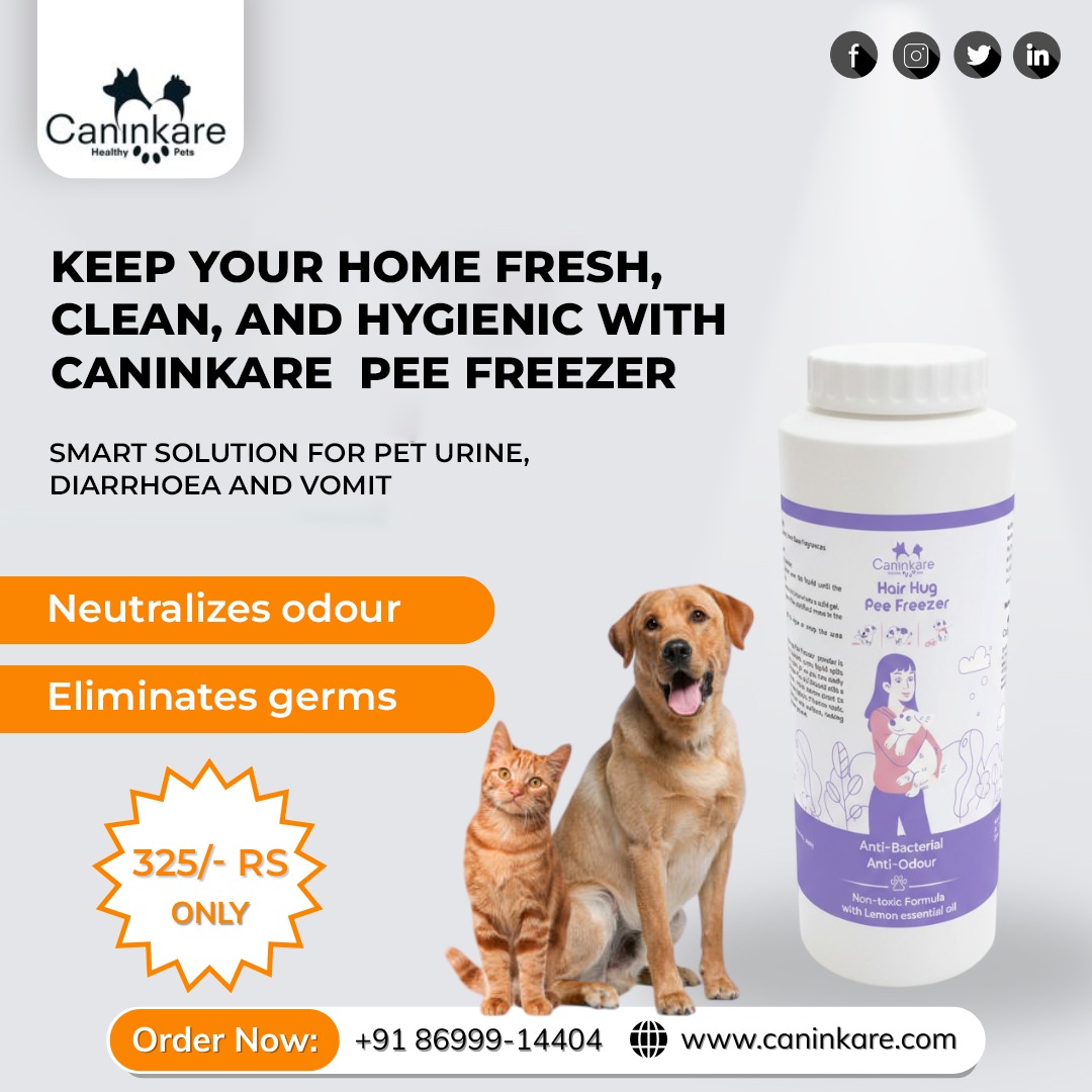 KareCanin51355's tweet image. Keep your home smelling fresh and protected with #Caninkare Pee Freezer, the perfect fix for everyday pet accidents.

#PetCleanUp #PeeFreezer #PetHygiene #PetCareIndia #PetOdourControl #CleanHome #PetMessSolution #SafeForPets #PetCleaningEssentials #PetLovers #NonToxicCleaner