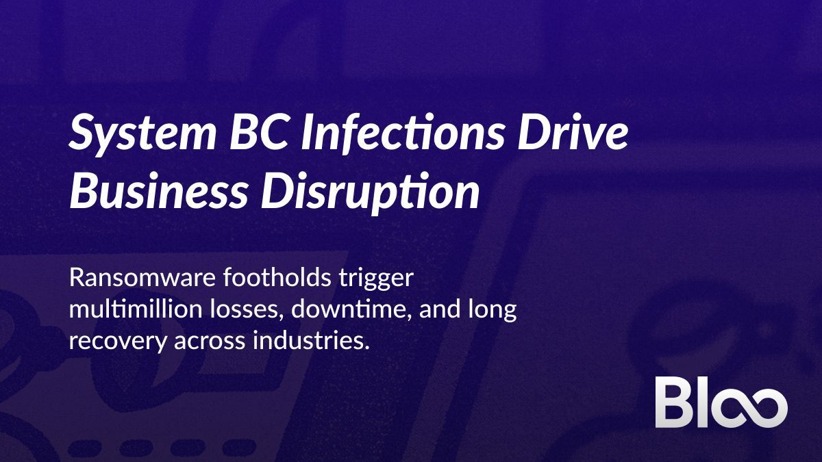 BlooSystems tweet media