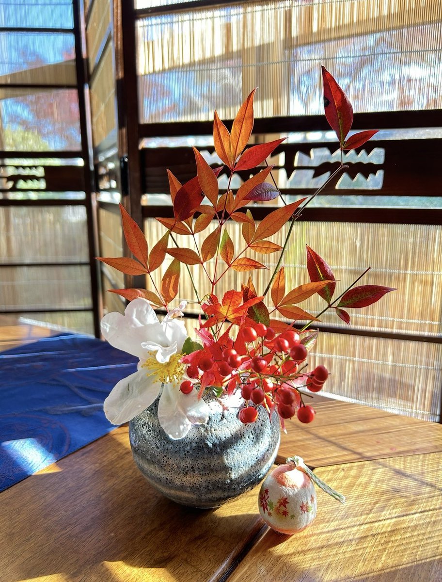 Post by 證安院on X: 山茶花と南天