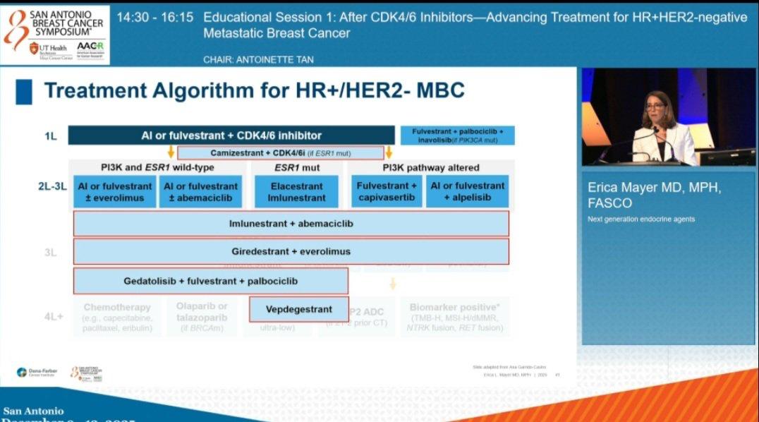 EiocOncology's tweet photo. Erica Meyer discusses what to do post cdk4/6i in the first line setting.

#SABCS25 #CDK46Inhibitors #FirstLineTherapy #OncologyInsights #BreastCancerCare @OncoAlert https://t.co/FU07q4Atz1