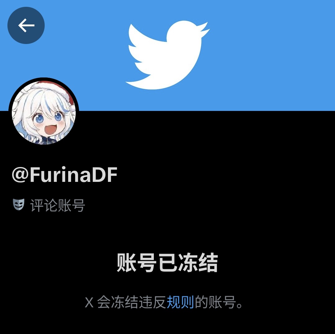 温馨提醒，冻结的账号也要主动去取消会员订阅；我7 月被冻结的大号，在12 月初居然还正常划扣了我新年度的会员费「126.2 美金」！ ---以下是找推特 申诉扣费事宜，仅让我等待--