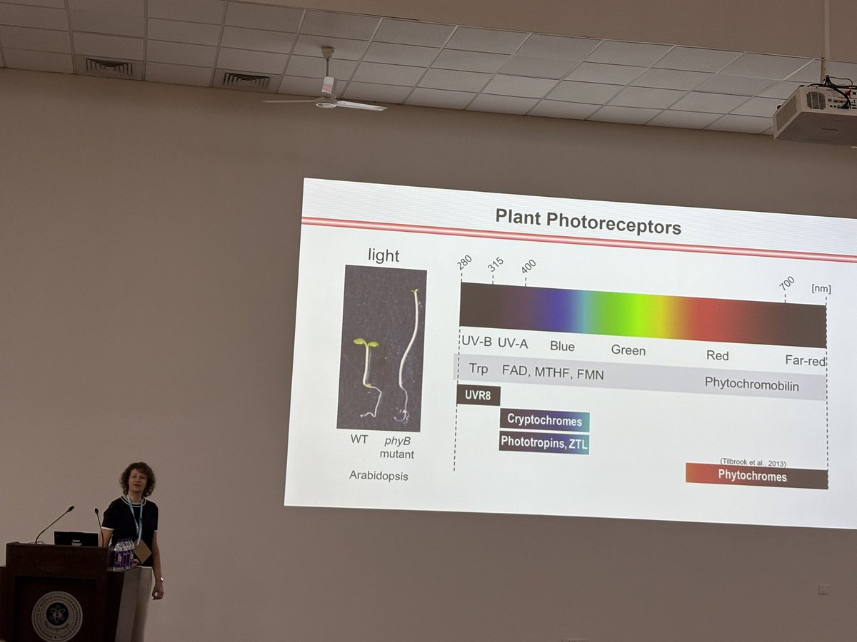 Santosh Satbhai tweet media