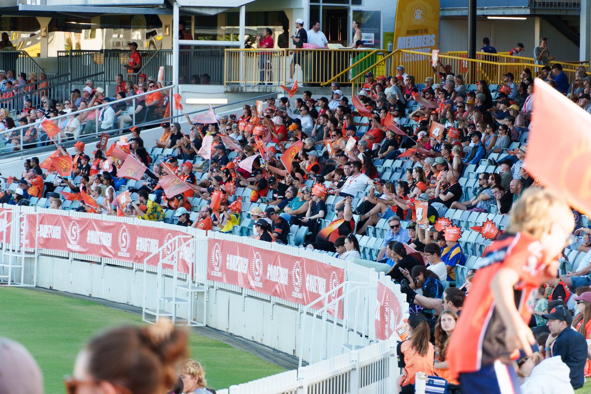 John Stephenson tweet media