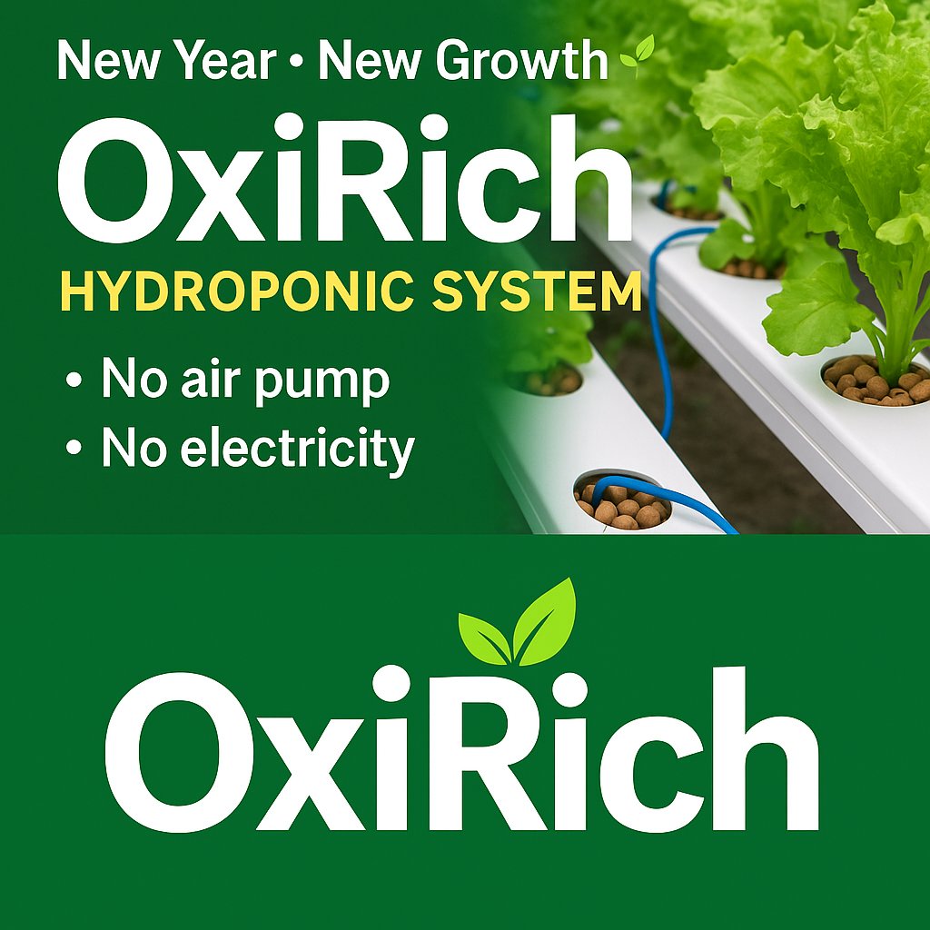 JamodkarDipak's tweet photo. I'm bringing a new twist to Hydroponics
Dipak Jamodkar https://t.co/80Y2qMPeVb