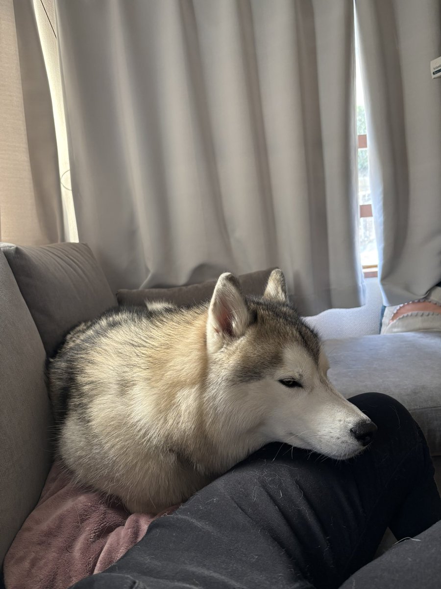 ガブちゃん (@rn2312412) / Posts / X