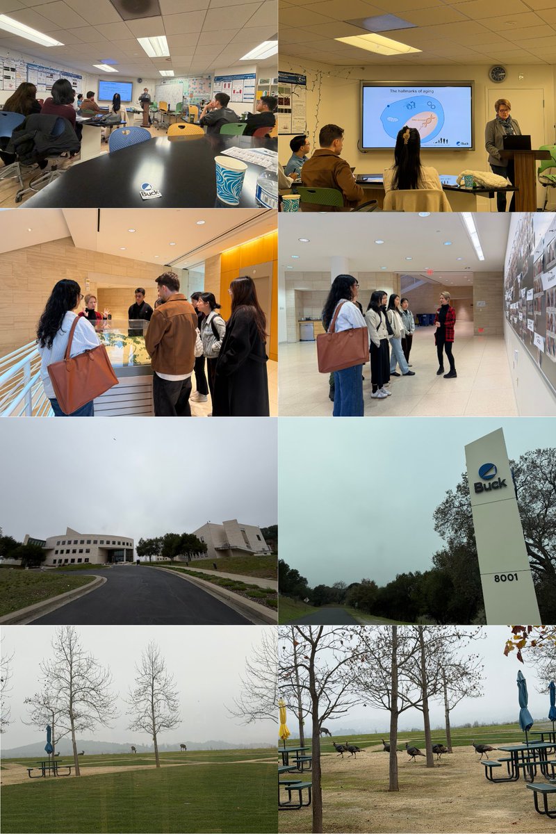 BerkeleyMBT tweet media