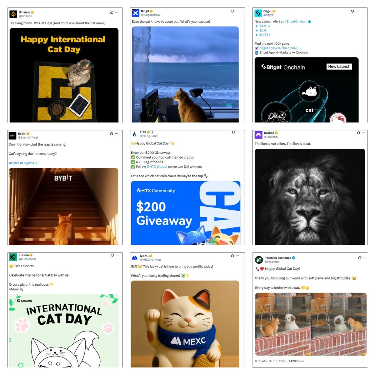 This is not a coincidence!

These are huge exchanges hinting a CAT-SUPERCYCLE  in 2026!!!!

Does everything feels connected right??

$SACHI