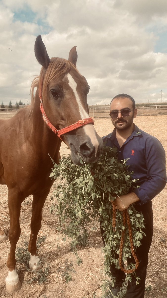 m_fkaya's tweet photo. Y E L T A Y ❤️
Evladım yolun açık olsun. Seninle adımızın geçtiği her an gurur duyup mutlu olacağım. Umarım yavruların senin adına yakışır şampiyon taylar olacaktır. 2026 aşım sezonuyla birlikte TİGEM adına hizmet edeceksin. Bizler senden razıydık umarım TİGEM de öyle olacaktır. https://t.co/HRuHujR3pe