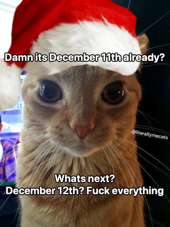 LiterallyMeCats (@literallymecats) on Twitter photo 