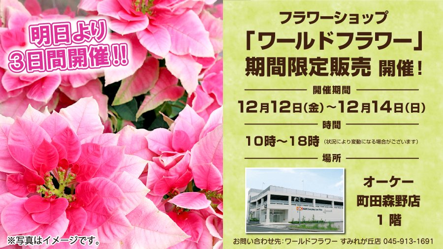 オーケー（公式） (@OK_EDLP) / Posts / X